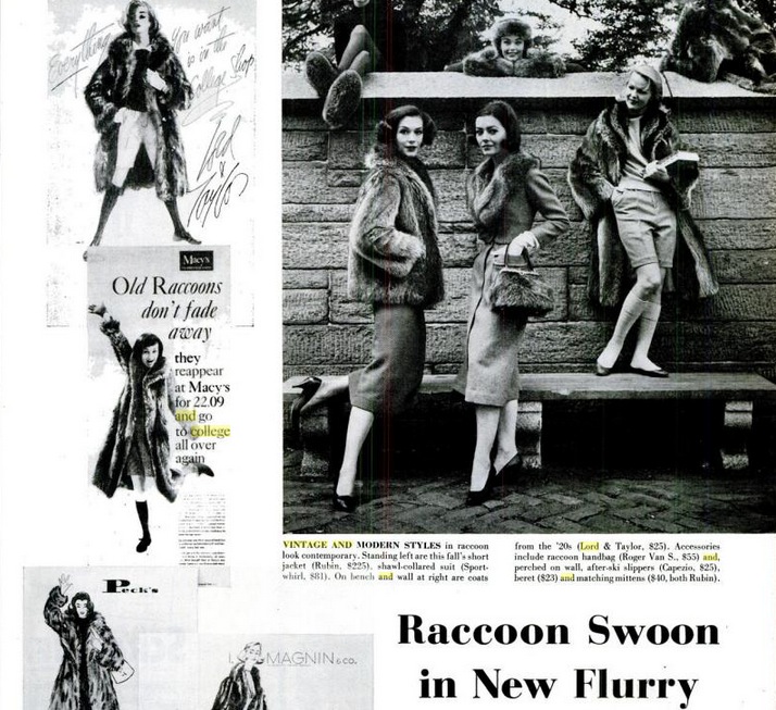 The Legacy Of The Raccoon Coat